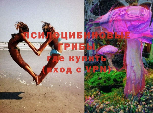 прущие крисы Новозыбков