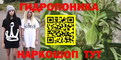 mdma Дубна