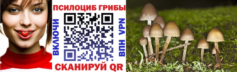 купить  цена  Ярцево  Псилоцибиновые грибы MAGIC MUSHROOMS 