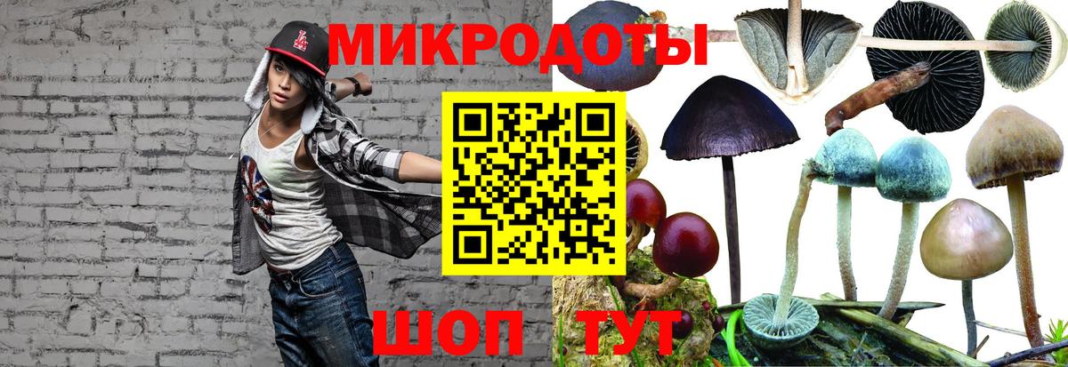 Галлюциногенные грибы GOLDEN TEACHER Ярцево