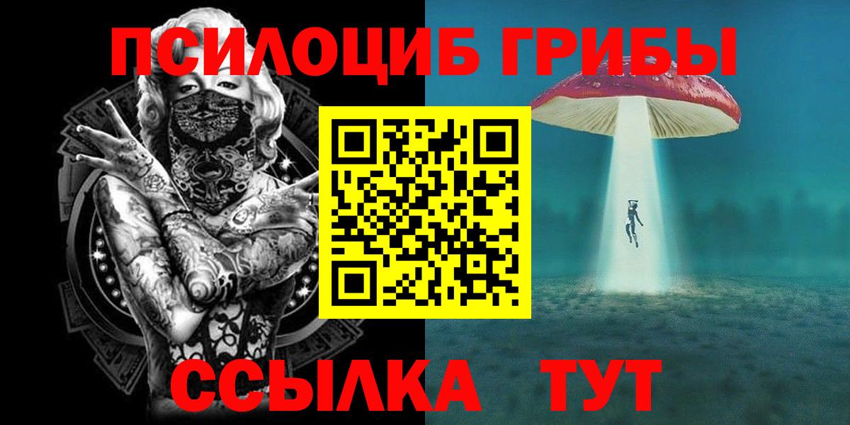 купить   Ярцево  Псилоцибиновые грибы GOLDEN TEACHER 